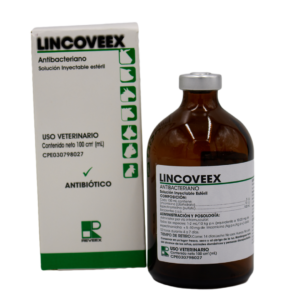 Lincoveex